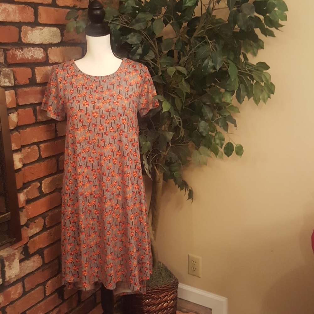 🌹4 for $20 LulaRoe Xs dress